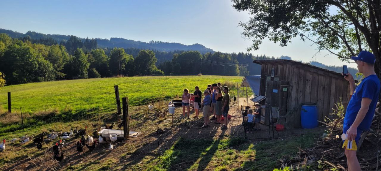 Gemeinsam bei den Hühnern