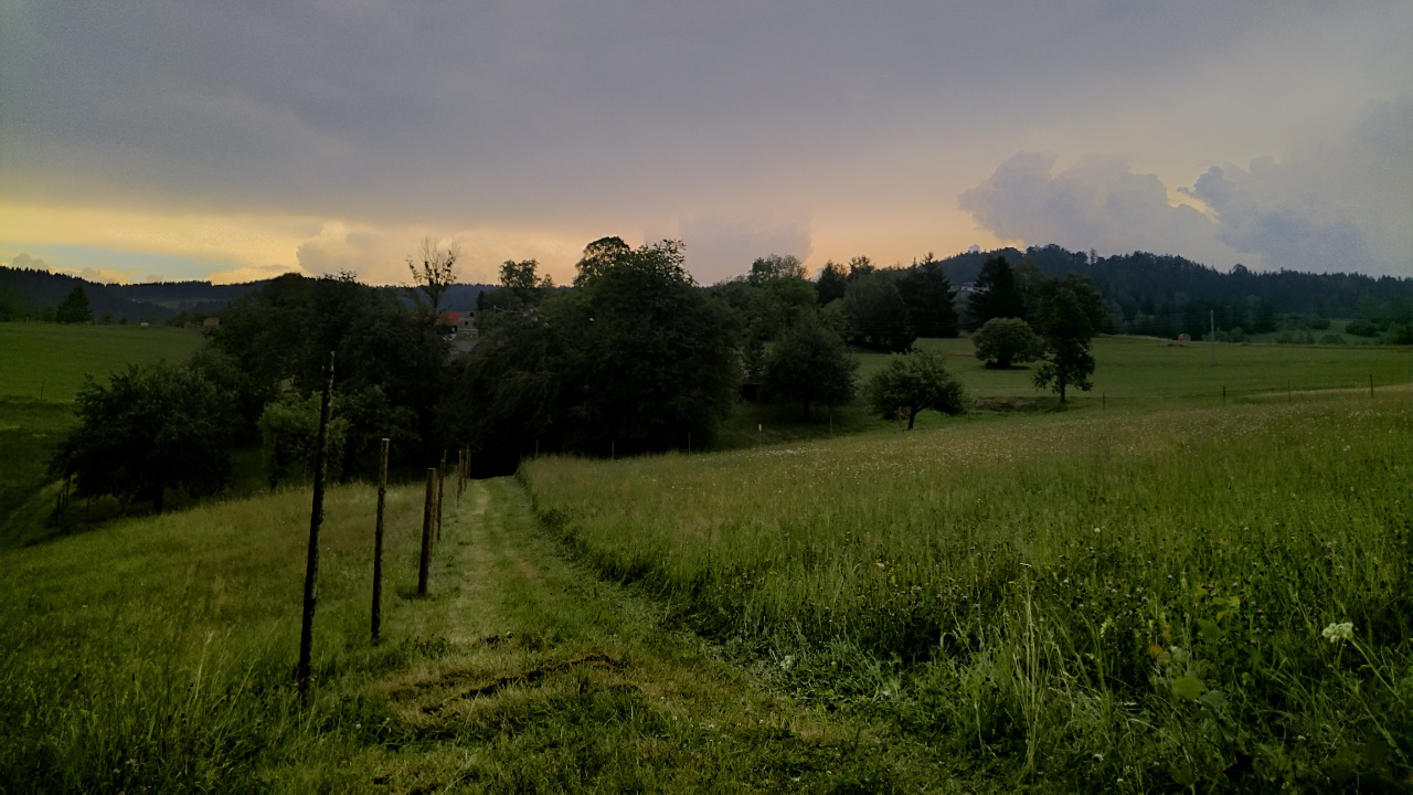 Die Schönheit der Natur